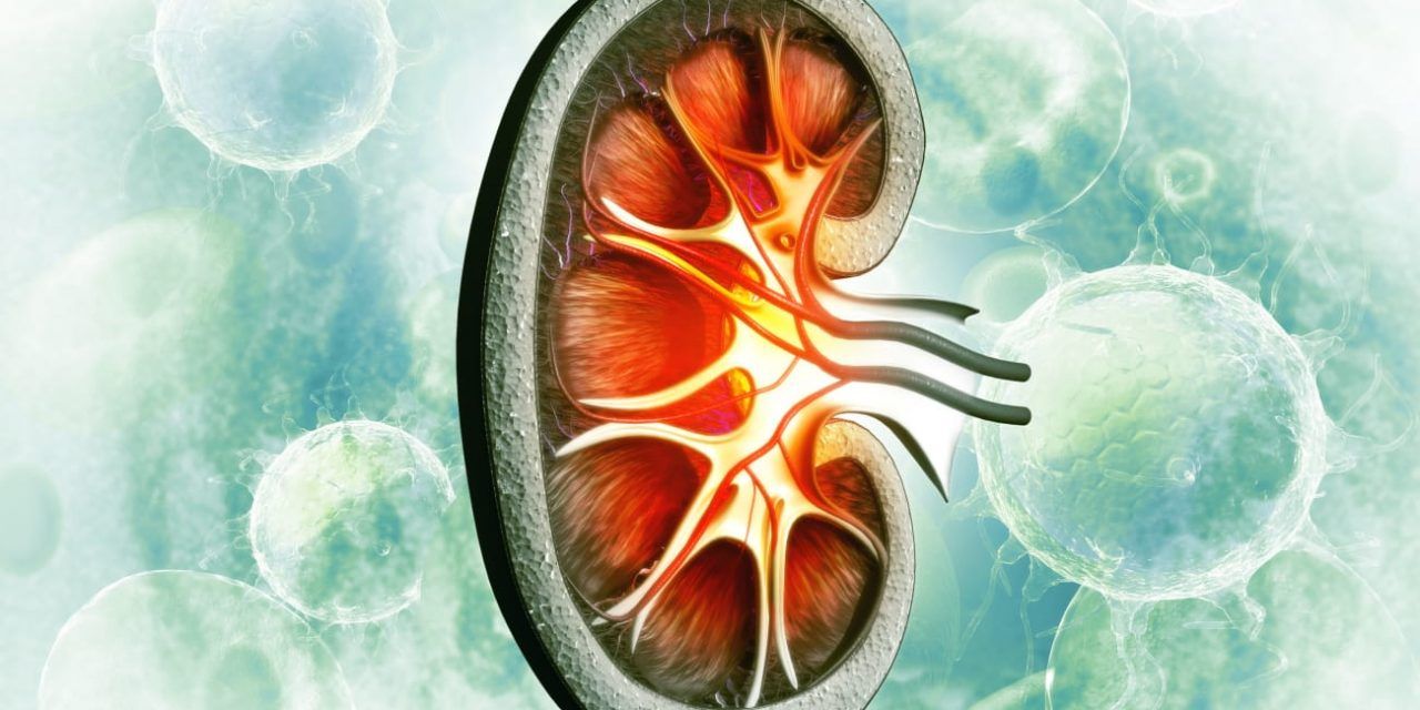 Manual Informativo para Pacientes con Cáncer de Riñón