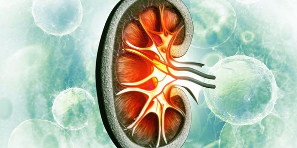 Manual Informativo para Pacientes con Cáncer de Riñón